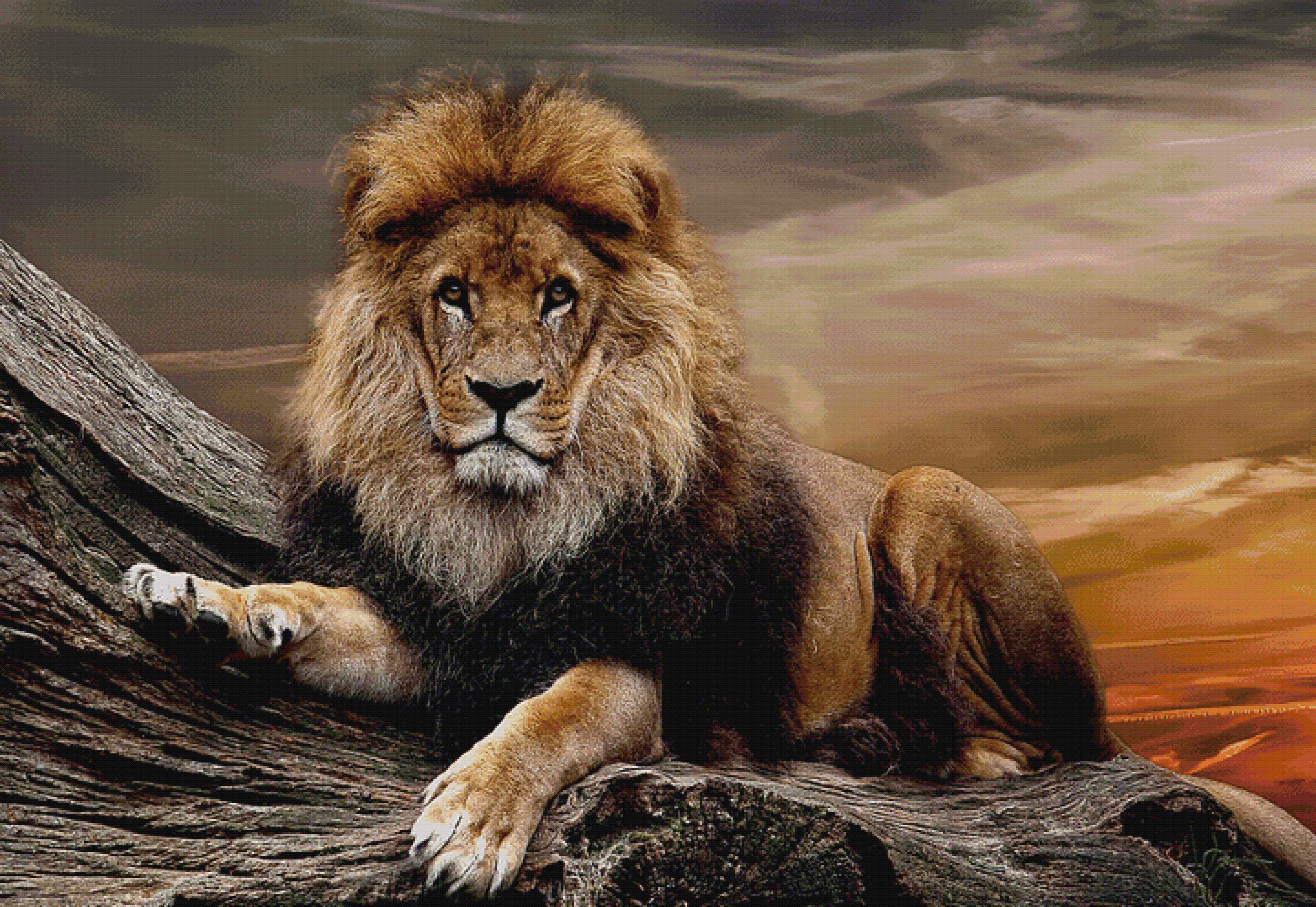 Chilaxed Lion cross-stitch pattern by minka2507 (XL size, Max