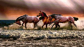 Water Horses