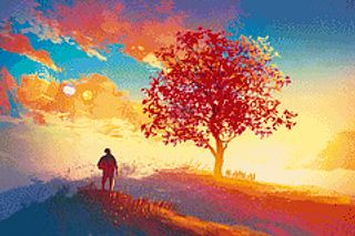 Coming Home