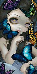A Confusion of Wings