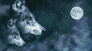 Call of the Moon