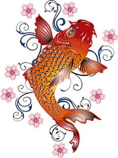 Koi with Blossom 