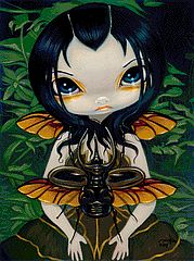 Beetle Wings