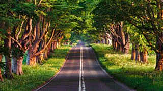 The Road