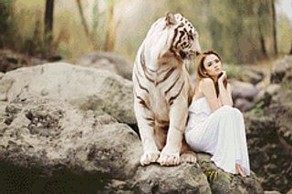 Beauty and the Beast