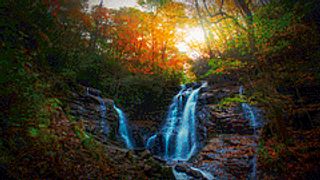 Waterfall in Forest