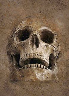 Skull