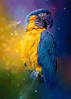 Colorburst Parrot