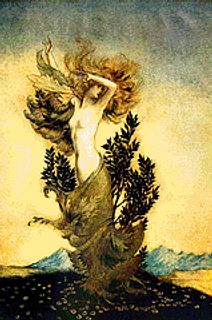 Daphne