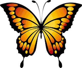 Yellow Butterfly